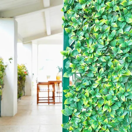 Mbird Riviera Flat 3